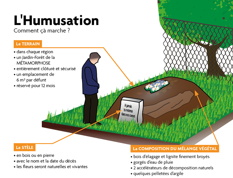 Concrètement, quelles sont les étapes de l’humusation ?